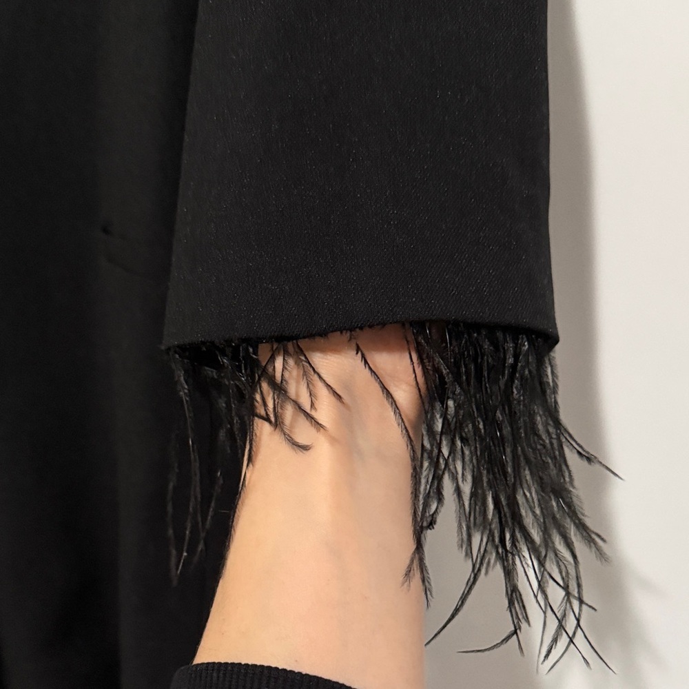 Hutch Elegant Black Blazer with Feather Accents - Picture 2 of 8